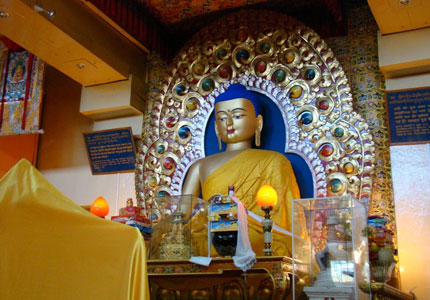 Dharamshala / McLeod Ganj