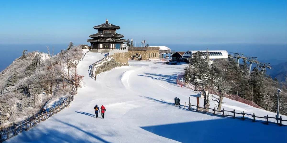 Amritsar to Dharamshala & Manali Tour