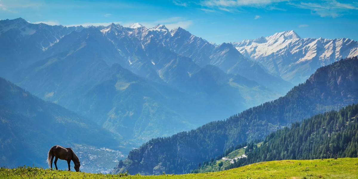 Amritsar to Shimla, Manali, Dharamshala, Dalhousie Tour