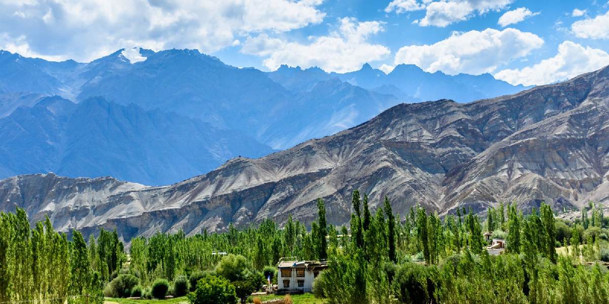 North Journey: Punjab to Kashmir Scenic Tour