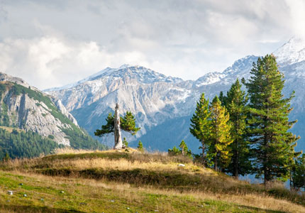 Dalhousie / Khajjiar