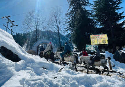 Manali / Kasol