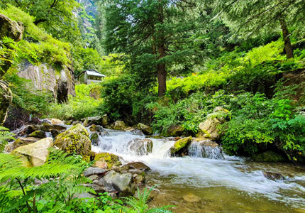 Amritsar Dharamshala Manali Shimla Chandigarh Drop