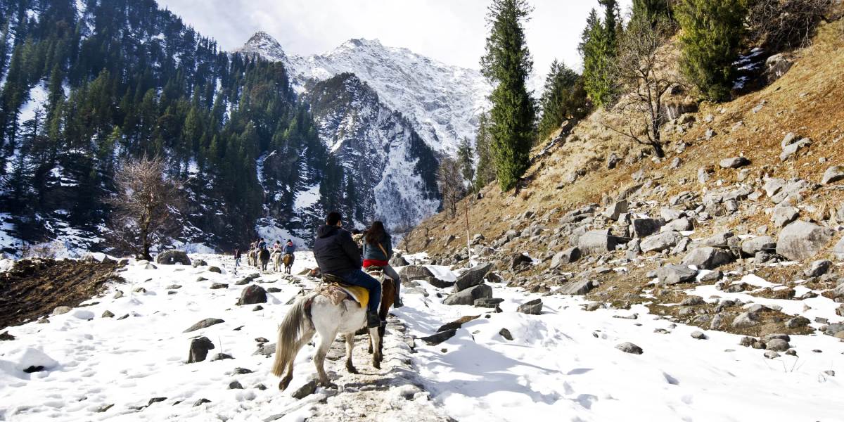 Chandigarh to Shimla, Manali Tour