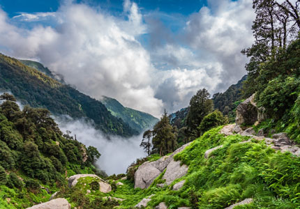 Amritsar Dharamshala Manali Shimla Chandigarh Drop
