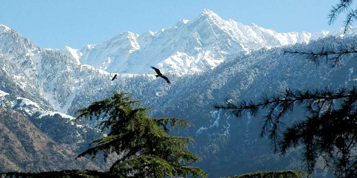 Amritsar to Dharamshala, Mcleodganj Tour