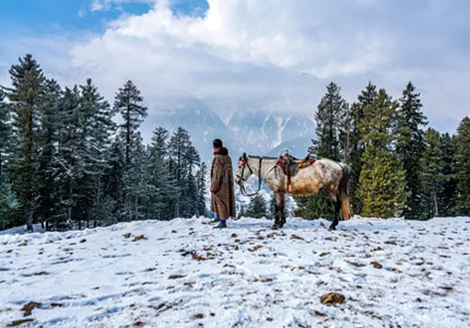 Srinagar / Kashmir