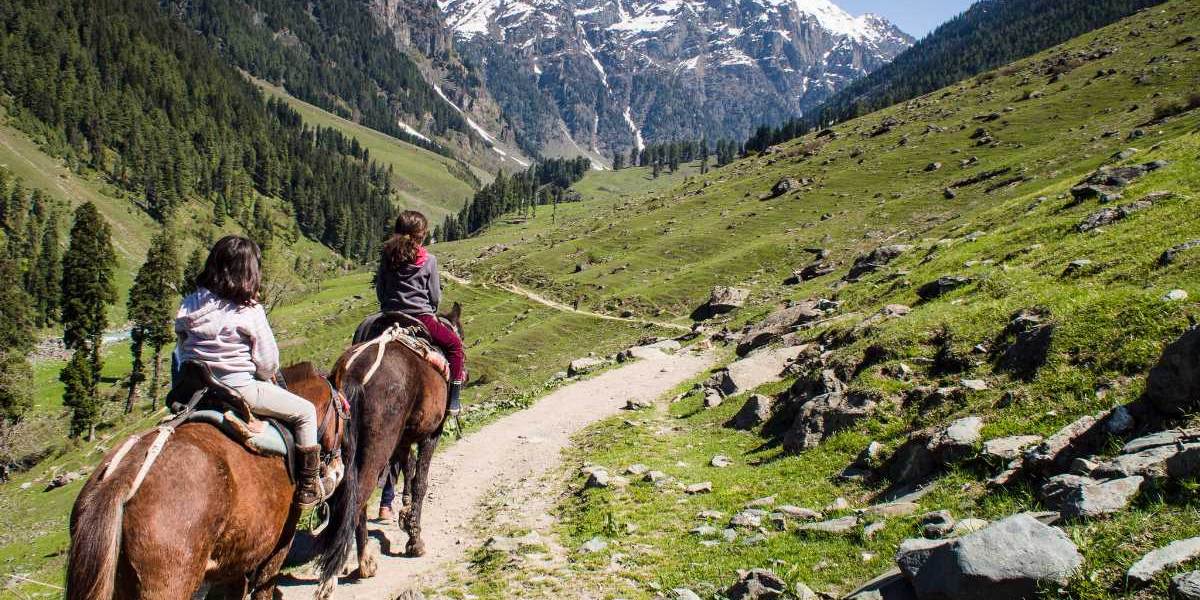 Chandigarh to Srinagar Tour