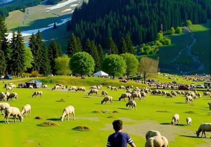 Srinagar / Kashmir