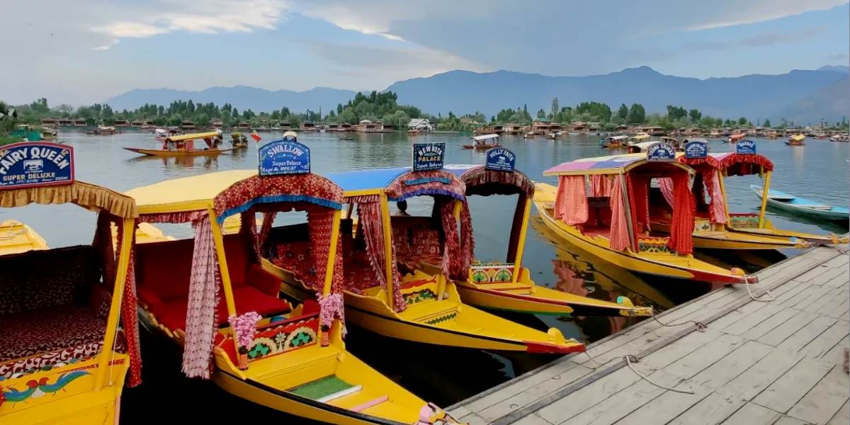 North Journey: Punjab to Kashmir Scenic Tour
