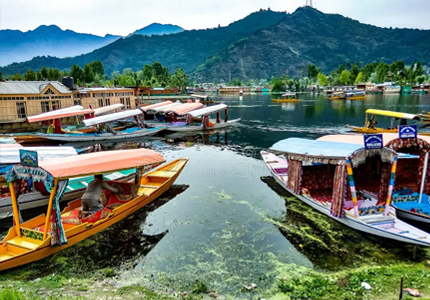 Srinagar / Kashmir