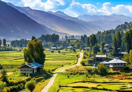 Srinagar / Kashmir